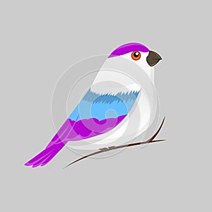 Vector color image of a bird, bird design icon.