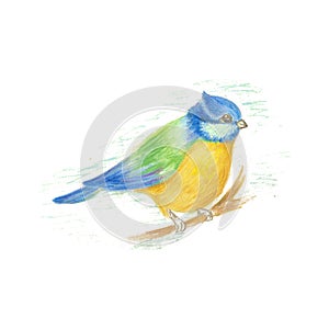 Vector color image of a bird, bird design icon.
