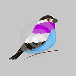 Vector color image of a bird, bird design icon.