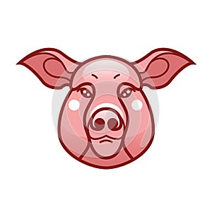 Vector color image of swine or pig head