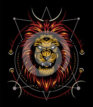 Vector color lion illustration - vector