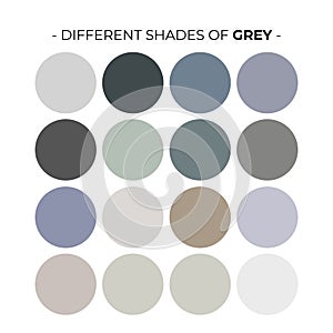 Vector Color Palette Set Design Template Multi color