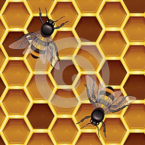 Vector color seamless pattern of a honeycomb with bees.