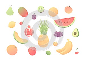 Vector color veggy fruit set. Modern style flat illustration isolated on white background. Design elements for web, vegeterian,