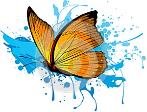 vector colored butterfly Vector illustration.