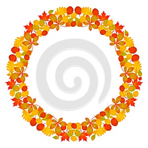Vector colored round frame mandala fall autumn leaves - red, orange, yellow and green vibrant color on white background