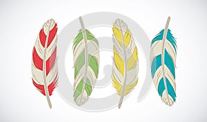 Vector colored feathers set. Ethnic bird collection.