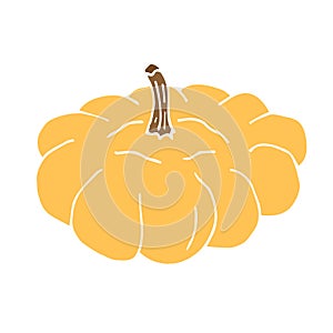 Vector colored hand drawn squash patison