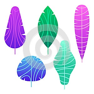 Vector colored illustration of the leaves of a tropical plant.