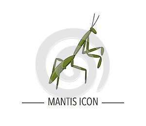 Vector colored mantis icon isolated on white background