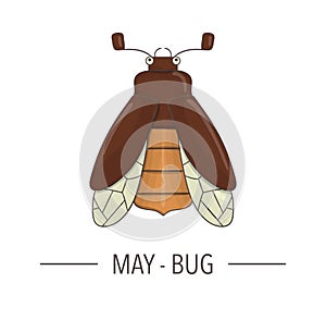 Vector colored may-bug icon isolated on white background