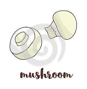 Vector colored mushroom icon