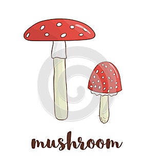 Vector colored mushroom icon.