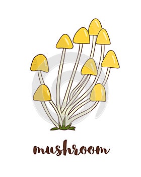 Vector colored mushroom icon.
