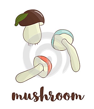 Vector colored mushroom icon.