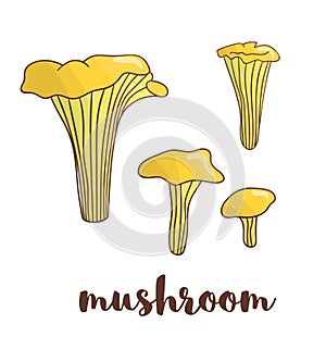 Vector colored mushroom icon.