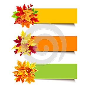 Vector colorful banners with autumn leaves.