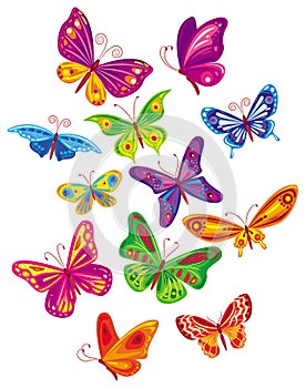 Vector colorful butterfly's set