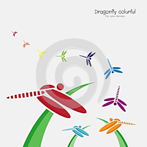 Vector of colorful dragonflie on green grass and dragonflie.