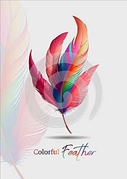 vector colorful feathers for carnival compositions, and other celebration days