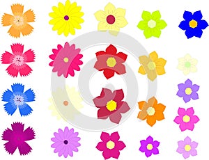 Vector of colorful flowers isolated on a white