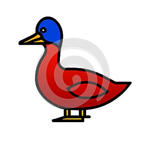 Alaotra Grebe duck red icon vector illustration photo