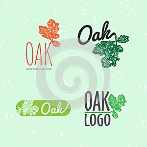 Vector colorful logo set with oak leaf and acorn
