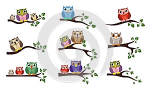 Vector colorful owl sitting on tree branch