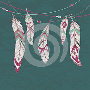 Vector colorful set of ethnic decorative feathers