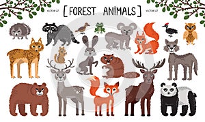 Vector colorful set on the theme of forest animals. Cartoon doodles of wild animals and birds. Design characters for use in design