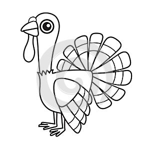 Vector coloring book illustration. Cute turkey in cartoon style