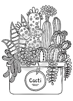 Vector Coloring book page for adult. Hand drawn set of succulents or cacti in pots. Doodles Black and white succulent