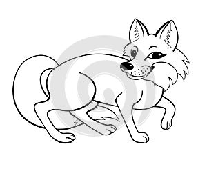 Vector coloring fox