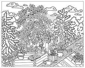 Vector coloring page with plants and flowers in pots on wooden pation in the garden. Black and white line art illustration with