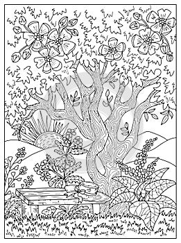 Vector coloring page with wooden bench under blooming tree with flowers in the garden