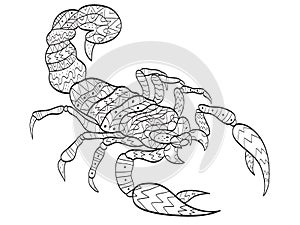 Vector coloring Scorpion for adults