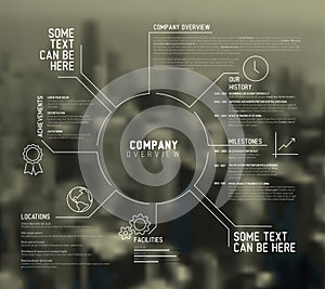 Vector Company infographic overview design template