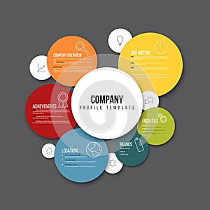 Vector Company infographic overview design template