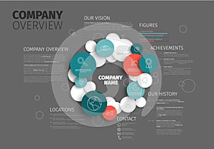 Vector Company infographic overview design template