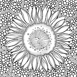 Vector composition with outline open Sunflower or Helianthus flower on the abstract background. Floral elements in contour style.