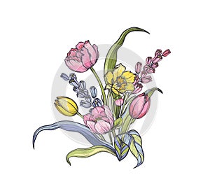 Vector composition of spring flowers, leaves and branches. Different flowers, tulips, anemones and other plants in