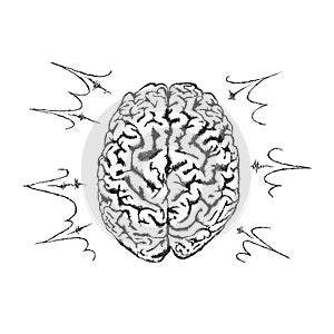 Vector concept of creativity with human brain.