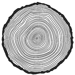 Vector conceptual background with tree-rings.