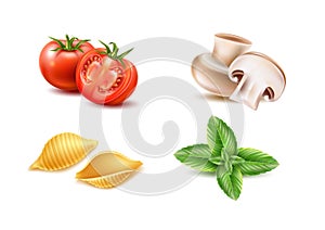 Vector conchiglie pasta tomato basil mushroom set