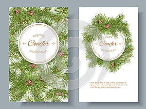 Vector conifer banners photo