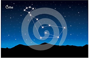 Constellation of Cetus
