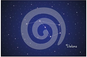Constellation of Volans