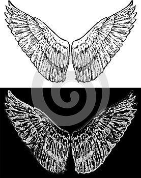 Vector contour drawing of black and white abstract fantasy wings
