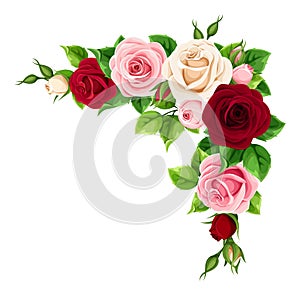 Red, pink and white roses. Vector corner background.