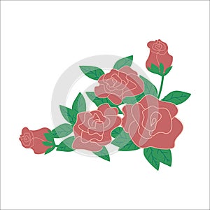 vector corner background with red roses, isolated